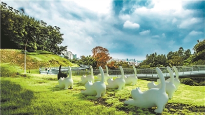 走在云道，看花看展看AR